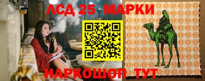 СК Гай