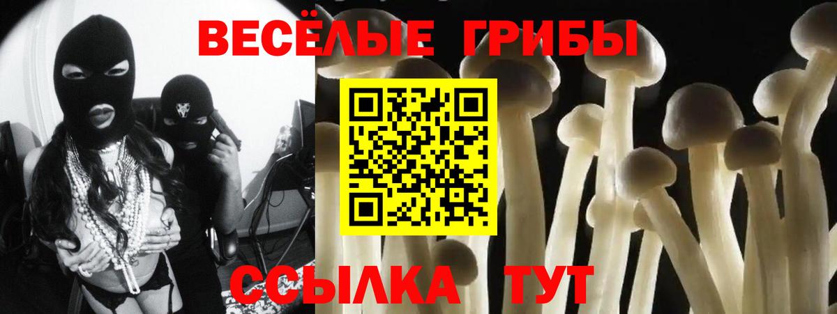 Галлюциногенные грибы Psilocybine cubensis Симферополь